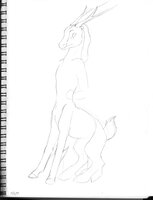 Shinala Taur