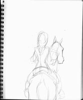 Rider From Behind