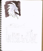 Species Lineup Practice (and Phoenix)