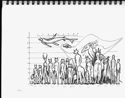 Old Peltedverse Lineup