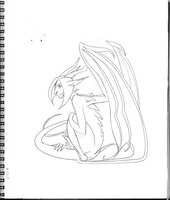 Jaguar Dragon