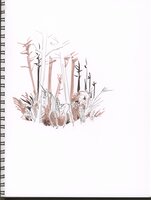 Hachi In The Everglades
