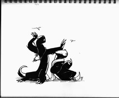 Drama Badger