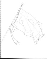 Flag From Alysha Cover