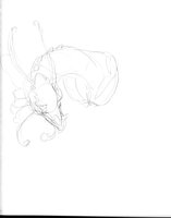 A Sweet Dragon