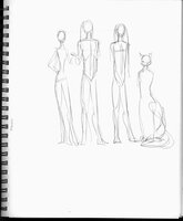 Height Chart