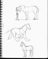 Chonk Horse