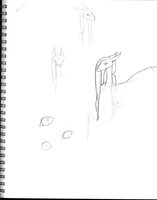 Everdawn