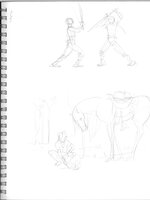 Sparring And Horses