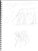 Unicorns And Elf Adventurers