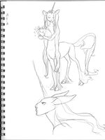 Unicorn Taur