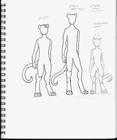 Pelted Body Types