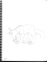 Nonmorphic Lynx With Ben