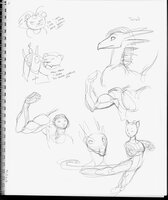 Many Doodles