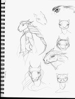 I Still Dont Know How Jokku Skulls Work