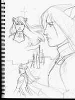 Redraw Of Alyshas Fall Montage