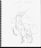 Unicorn Taur
