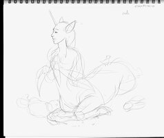 Unicorn Taur With Friend