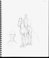 Guy On Horse