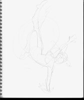 Falling Rotating