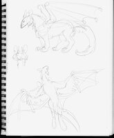 More Furry Dragons