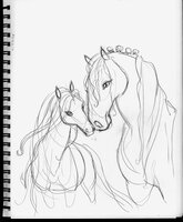 More Dark And Light Horse