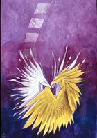 Harriers Choice Cover