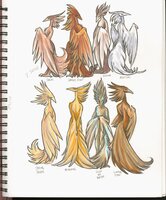 The Brides