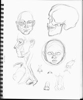 Head Anatomy Practice
