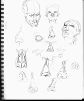 I Hate Noses