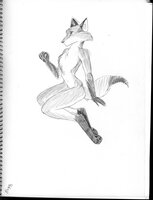 Digitigrade Fox Female