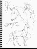 More Horses