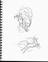 Unicorn Designs