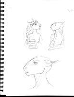 More Red Honey Sketches