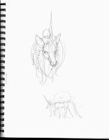 More Florida Unicorns