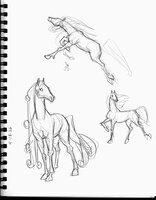 More Horses Of Course