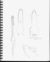Starship Looks Like An Otter
