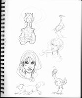Birds And People