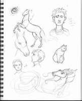 Boy And Horse