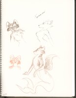Sketchbook 15