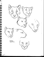 Sketchbook 18