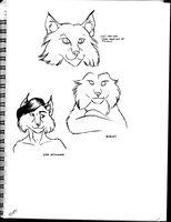 Lynx Faces