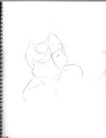 Foreshortened Male Vixen Head