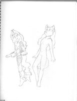 Tacit Snow In Fox And Kirin Forms
