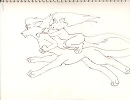 Shara On The Back Of A Racing Celentine