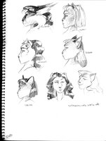 Heads Of Different Races Female