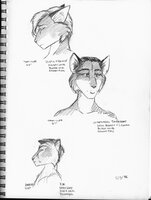 Stardancer Contact Faces