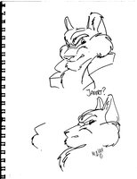 Javert Wolf Faces