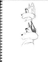 Cartoon And Naturalistic Fox Profiles
