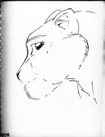 Nonmorphic Cat Fuzzy Chin